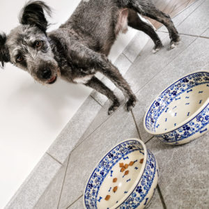 Polish Pottery Ceramika Galia Dog Bowls